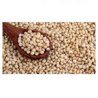 Best Factory Price of Natural Organic Seeds White Quinoa Grains Health care Grains Available In Large Quantity