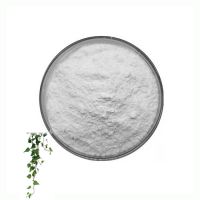 High Quality Sinomenii Root Extract 98% Sinomenine Hydrochloride CAS 6080-33-7