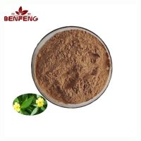 Wholesale bulk Damiana Extract Powder Damiana Leaf Extract in stock