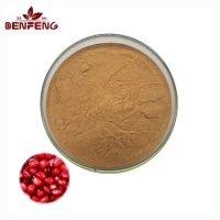 High Quality Pomegranate Extract Powder Pomegranate Peel Extract 40% Ellagic Acid