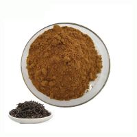 Bulk Natural Instant Dark Tea Powder Theaflavin 10:1 Dark Tea Extract Powder
