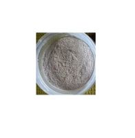 Crushed Oyster Shell powder for sale crushed oyster best quality  Shellpowdershell Powder Oyster Shell Extract Powder