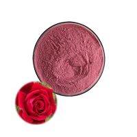 High Quality Rose Juice Powder Natural Water Soluble Rose Flower Extract Rose Powder