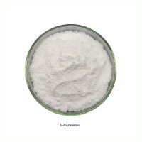 Factory Supply 99% L-Carnosine Suppelment Food Grade CAS 305-84-0 L-Carnosine Powder