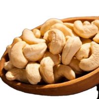 Top Dried Cashew Nuts/ Cashew Nut Size W180 W240 W320 W450 Low Price