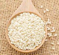 High quality raw white sesame finest quality of white sesame seed for export Now