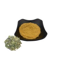 Wholesale bulk  Apocynum Venetum Extract Powder  Apocynum Venetum Leaf Extract Powder