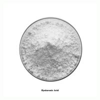High Quality Cosmetic Grade Sodium Hyaluronate CAS 9004-61-9 Hyaluronic Acid Powder