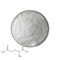 High Quality L-Glutamine Nutritional Supplement 99% Purity Glutamine Powder