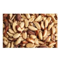 Raw and Roasted brazil nuts / Brazilnuts / Organic Brazil Nuts Best Price