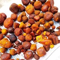 cattle gallstones ox cow gallstone for sale    ox cow cattle gallstones 100% whole stones 90% whole stones