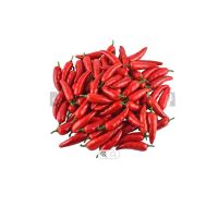 Wholesale custom private label fresh quality for sale cayenne pepper seeds yellow 10kg carton  14tons 15days red pepper