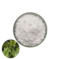 High Quality Loquat Leaf Extract CAS 77-52-1 Rosemary Extract 25%-98% Ursolic Acid