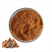 Pure Natural Cinnamon Polyphenol Cinnamon Bark Extract Powder 10:1 Cinnamon extract