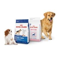 Royal Canin Dog And Cat Food Dry Dog Food Exporters / Royal Canin Fit 32 Dry Cats