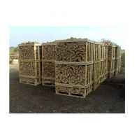 Wholesale Price Kiln Dried Firewood | Oak and Beech Firewood Logs Bulk Stock Available For Sale