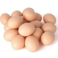 High Standard Best Quality Chicken Egg From Turkey Fresh and Natural Egg Wholesale Price Animal Products Eggs