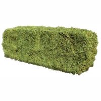 Top Quality Alfafa Hay for Animal Feeding Alfalfa / Alfalfa Hay