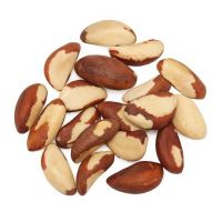 brazil nuts raw or roasted shellless dried brazil nuts raw light style food organic brazil nuts