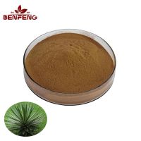 Provide High Quality Agave Leaf Extract Agave Americana Linn Extract Powder