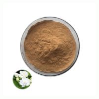 Supply High Quality Jasmine Flower Extract 10:1 Jasmine Tea Extract Powder