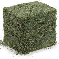 Alfafa Hay For Animals/ Alfalfa hay pellets /Timothy Hay in Bales Best Super Top Quality