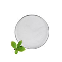 Hot Selling 100% natural Cosmetic Ingredient 99% Alpha Arbutin Bearberry leaf extract