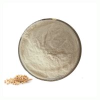 Bulk Natural Supplements Soybean Lecithin CAS 8002-43-5 Food Grade Soy Lecithin Powder