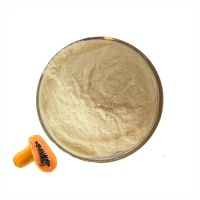 High Quality Papaya Juice Powder For Beverage 100% Natural Papaya Fruit Powder