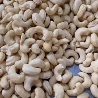 dried cashew nut ww320 ww240 wholesale dried raw cashew nuts in shell price Processed Cashew Nut