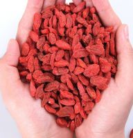 organic conventional goji berries dried red fruit 25kg packing 25tons 15days sweet for sale dried goji berries berry goji