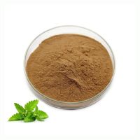 High Quality Melissa Officinalis Extract Natural 10:1 Lemon Balm Leaf Extract