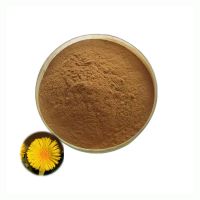 Bulk Natural Tussilago Farfara Extract High Quality 10:1 Coltsfoot Flower Extract