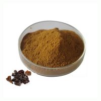 Bulk Black Fungus Powder Polysaccharide 30% Food Grade Black Fungus Extract