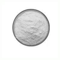 High Quality Vitamin B7 Organic Supplement Vitamin H CAS 58-85-5 Biotin Powder