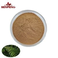 Hot Selling High Quality Plant Extract Hairy Fern Extract Powder Fern Extract