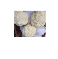 fresh cauliflower and frozen cauliflowers vegetable cauliflower for wholesale yellow white flower