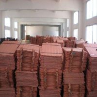 Top High Quality Electrolytic Copper Cathode 99.99/ Factory Price Cathode Copper