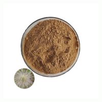 High Quality Chinese Pulsatilla Root Extract 0:1 Anemone Root Extract Powder