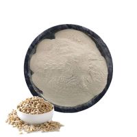 Bulk Wholesale Sunflower Seed Extract powder 80% Sunflower Seed Protein powder
