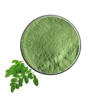 Hot Sale Moringa Oleifera Leaf Extract Moringa Leaf Extract Powder