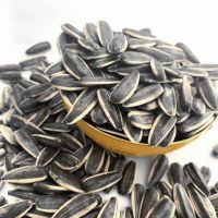 Best Quality Sunflower Seeds