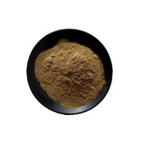 Factory Provide Olive Fruit Extract Food Grade Green Fruit Extract Powder