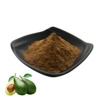 100% organic Avocado Powder plant extract Avocado Extract