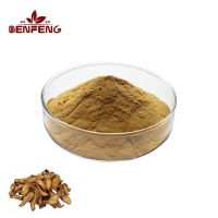 Manufacturers Supply Natural Burdock Root Extract 10:1 Burdock Extract Powder