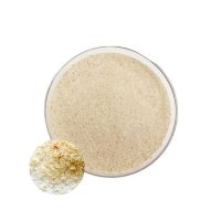 Bulk Pure Organic 99% Psyllium Husk Extract Powder