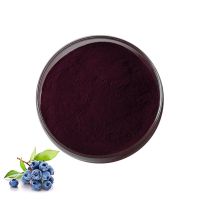 Bulk Organic Blueberry Fruit Powder Bluebery Extract 25% Blueberry Anthocyanins