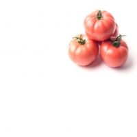 Baby Tomato Red Style Storage organic and fresh red tomato wholesales bulk suppliers green tomatoes for sale