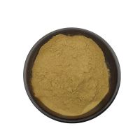 wholesale 100% Rhizoma Chuanxiong Extract Ligusticum Wallichii Extract Powder