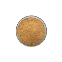 Wholesale Pure Myristica Fragrans Nutmeg Powder 10:1 Semen Myristicae Extract
